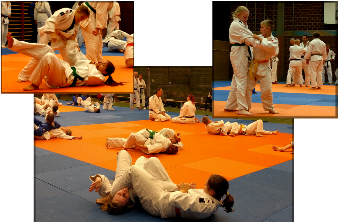 Ein paar unserer Judoka beim Kyu-Tutor Lehrgang 2016 in Wachendorf